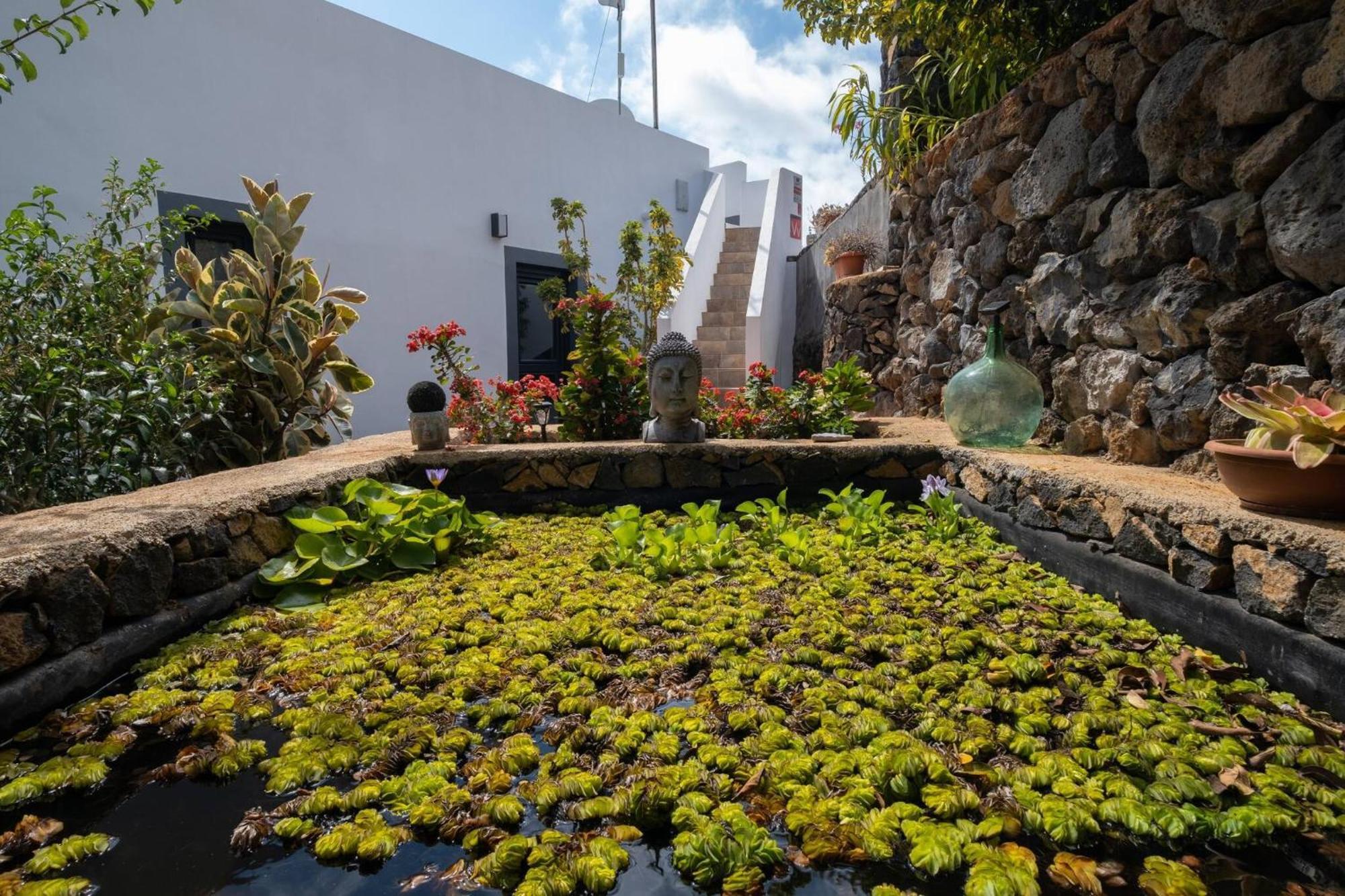 Villa La Graja By Huskalia - Private Pool ロス・ジャノス・デ・アリダネ エクステリア 写真